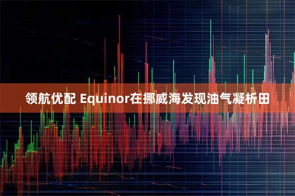 领航优配 Equinor在挪威海发现油气凝析田