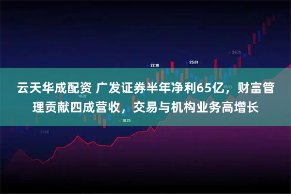 云天华成配资 广发证券半年净利65亿，财富管理贡献四成营收，交易与机构业务高增长