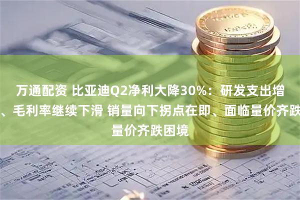 万通配资 比亚迪Q2净利大降30%：研发支出增50%、毛利率继续下滑 销量向下拐点在即、面临量价齐跌困境