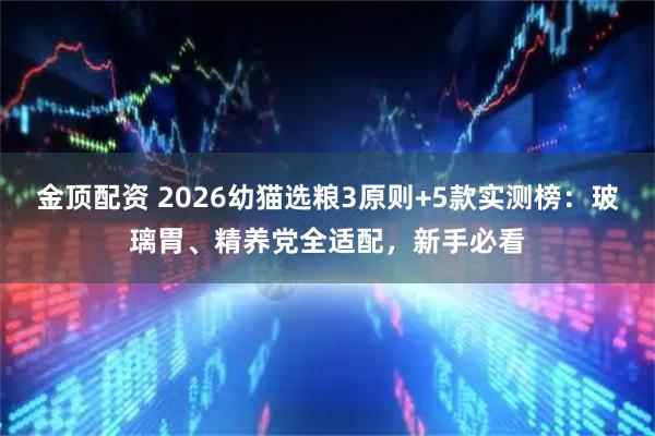 金顶配资 2026幼猫选粮3原则+5款实测榜：玻璃胃、精养党全适配，新手必看